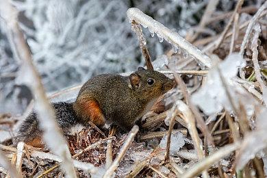 《宣誓》Steam评价降至多半好评 在线人数出现大幅下滑