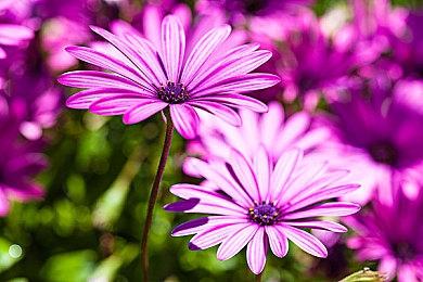 不买配件玩不了！ 《Switch2欢迎之旅》需购买配件才能100%完成游戏